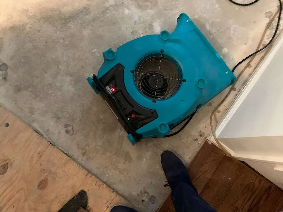 Air mover drying subfloor during Commercial Water Damage Restoration in Ware